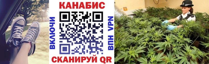 A PVP Нолинск
