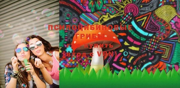 дживик Нягань