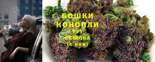 трава Алексин