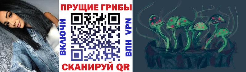 где продают наркотики  Нолинск  Галлюциногенные грибы GOLDEN TEACHER 